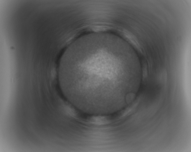 X0000113160367200909111019