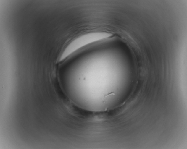 X0000113160368200909111019