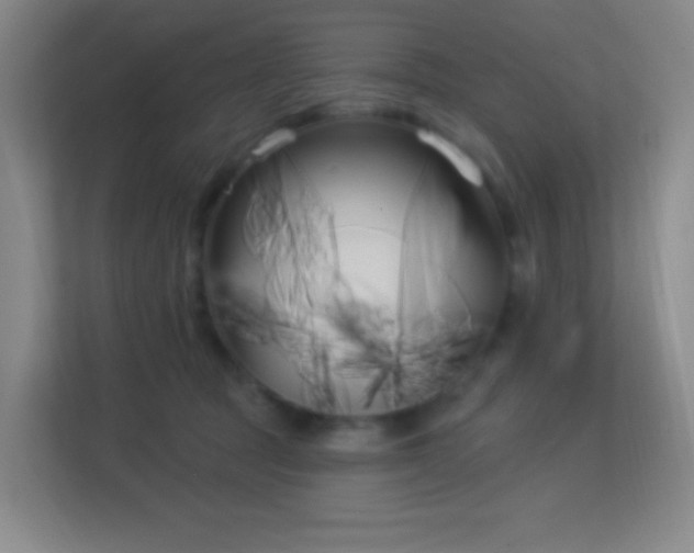 X0000113160369200909111019