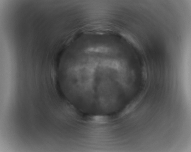 X0000113160371200909111019