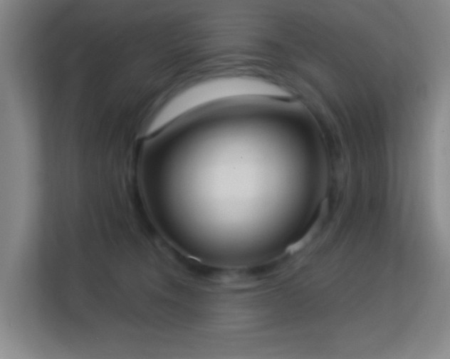 X0000113160372200909111019