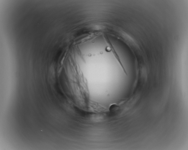 X0000113160373200909111019