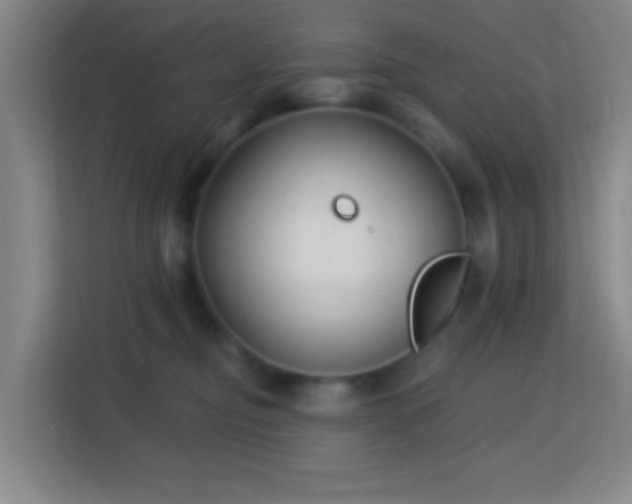 X0000113160374200909111019