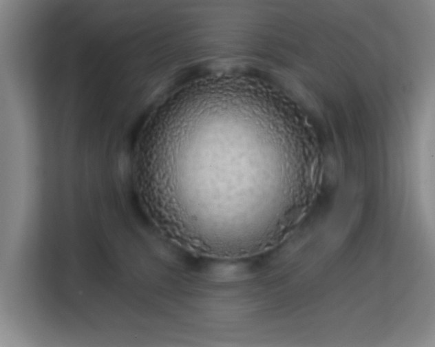 X0000113160375200909111019