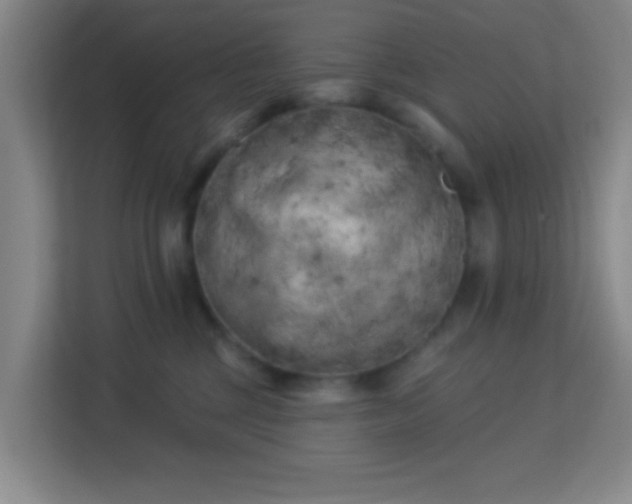 X0000113160377200909111019