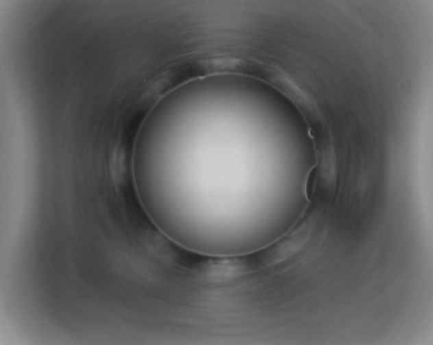 X0000113160378200909111019