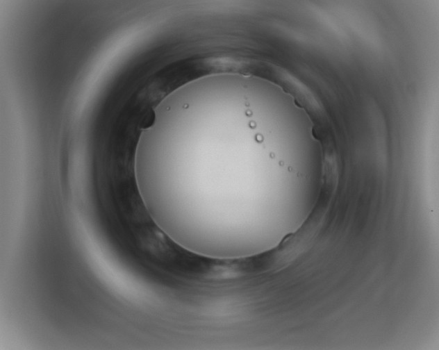 X0000113160381200909111019