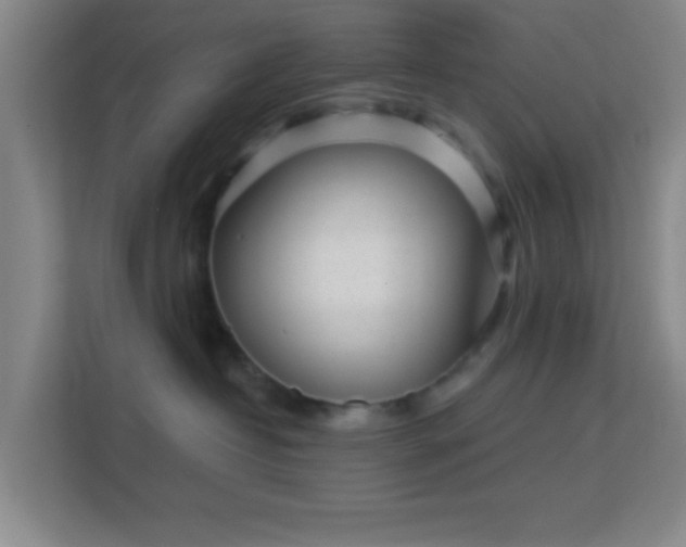 X0000113160382200909111019