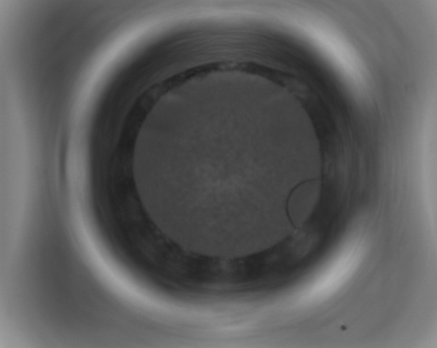 X0000113160383200909111019