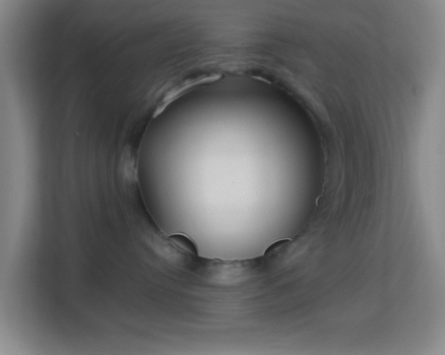 X0000113160384200909111019