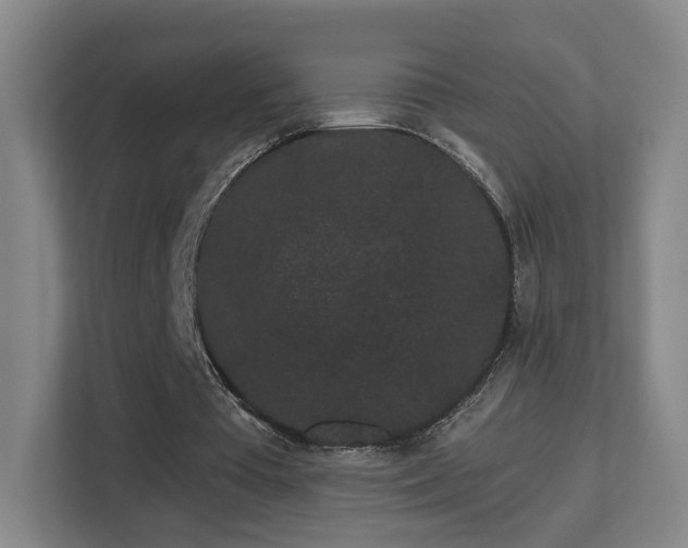 X0000113160385200909111019