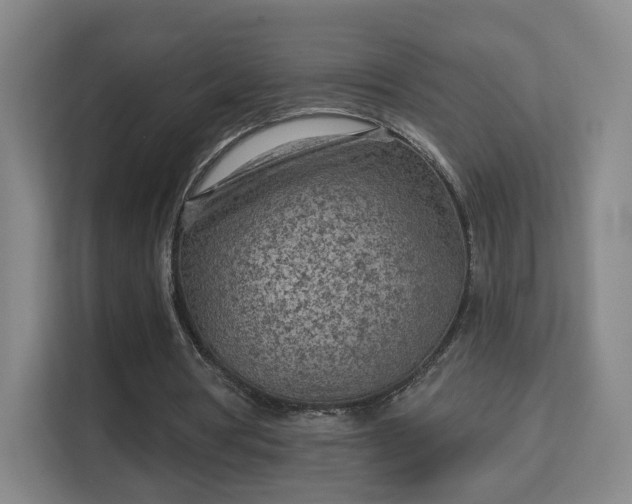 X0000113160386200909111019