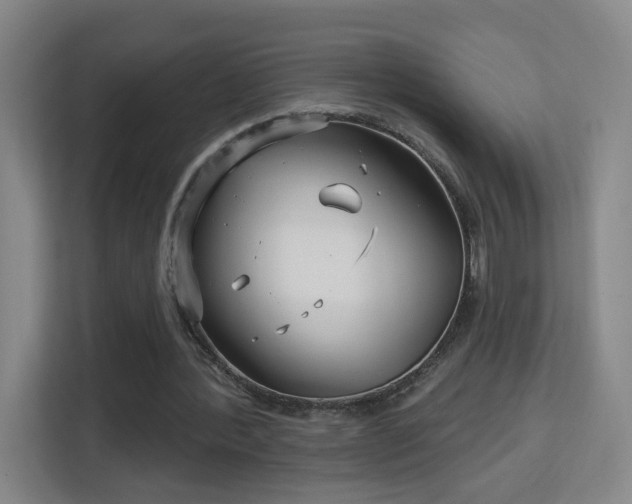 X0000113160388200909111019