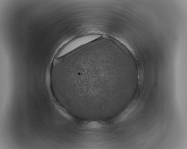 X0000113160390200909111019