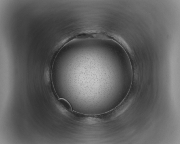 X0000113160393200909111019