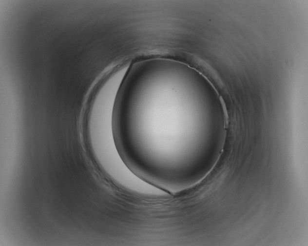 X0000113160395200909111019