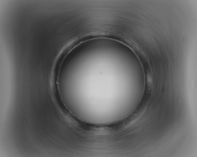 X0000113160396200909111018