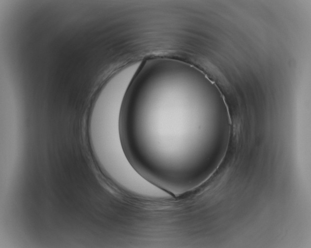 X0000113160397200909111018