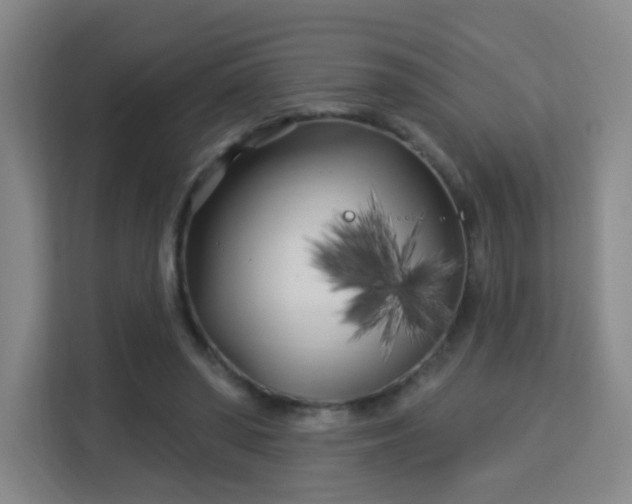 X0000113160398200909111018
