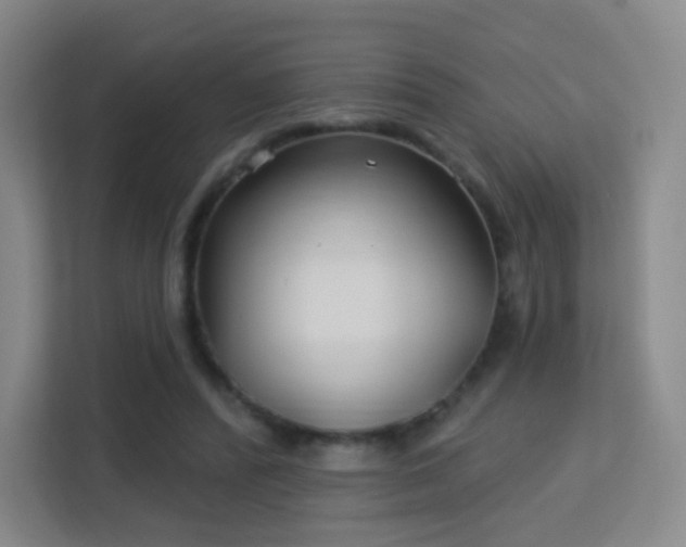 X0000113160400200909111018