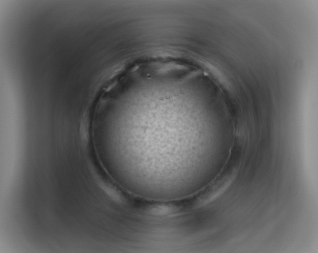 X0000113160402200909111018