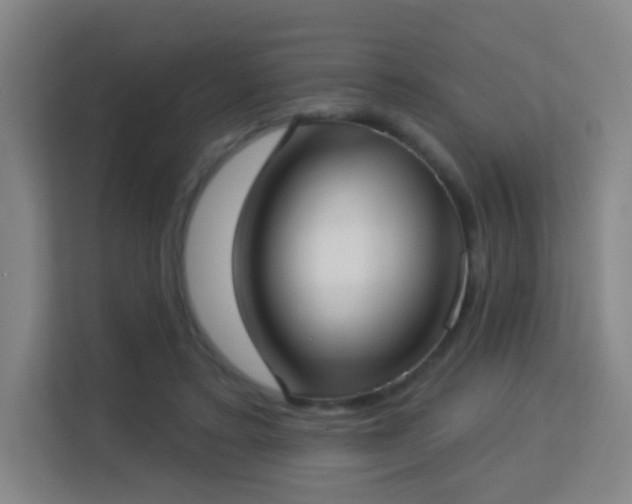 X0000113160403200909111018