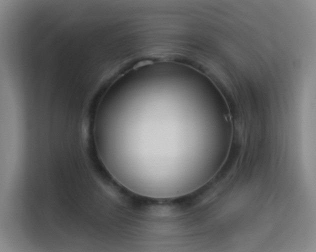 X0000113160404200909111018