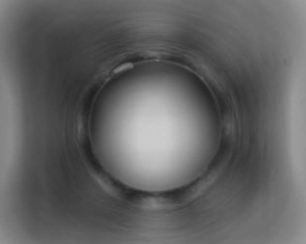 X0000113160408200909111018