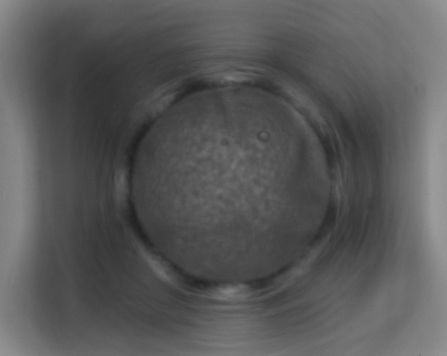 X0000113160410200909111018