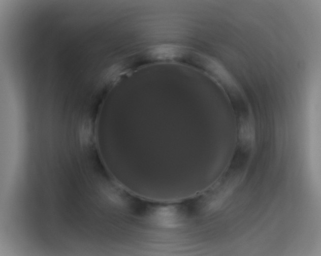 X0000113160411200909111018