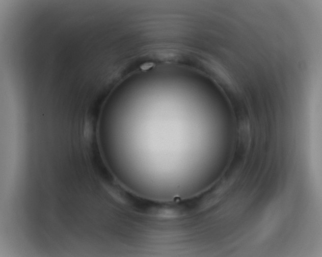 X0000113160412200909111018