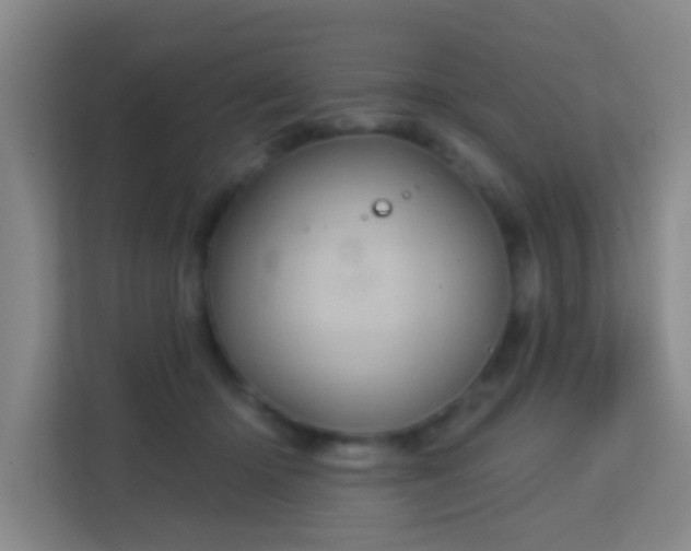 X0000113160414200909111018