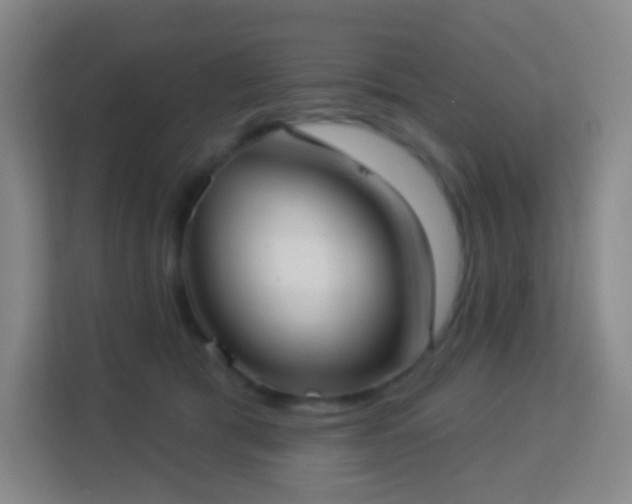 X0000113160417200909111018