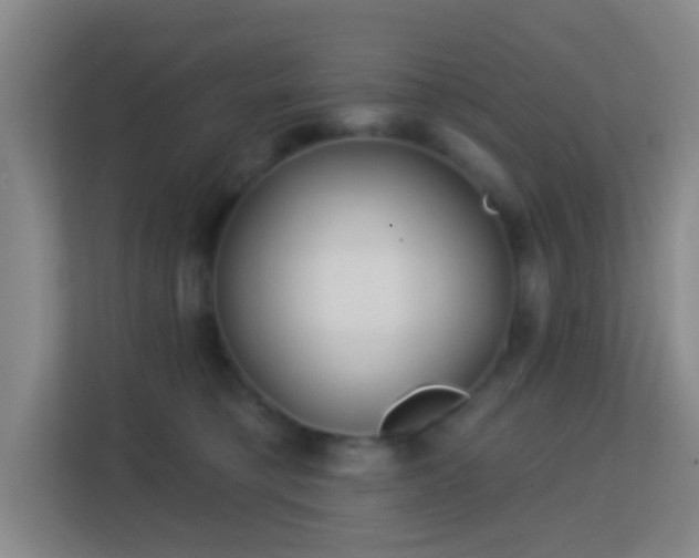 X0000113160421200909111018