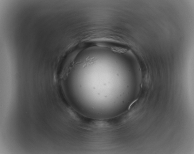 X0000113160424200909111018
