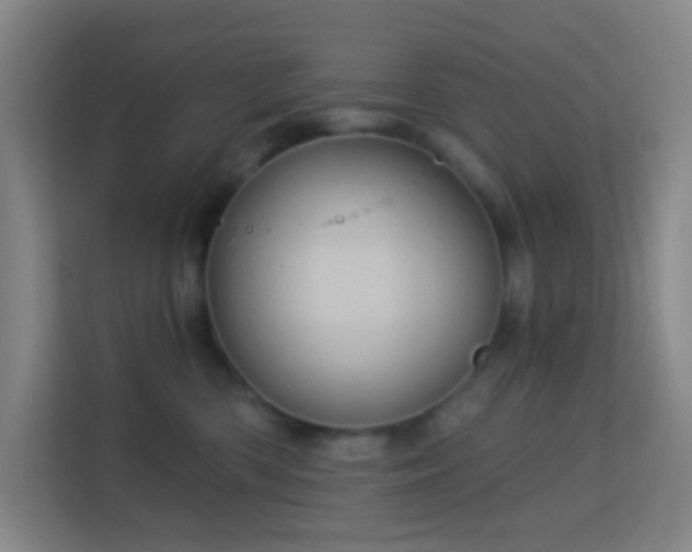 X0000113160426200909111018