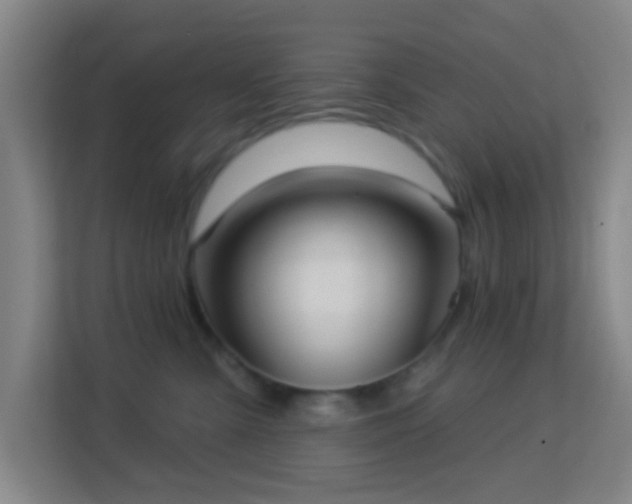 X0000113160427200909111018