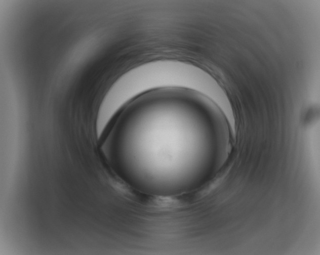 X0000113160429200909111018