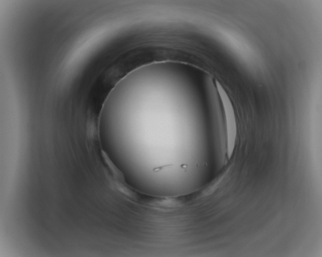 X0000113160431200909111018