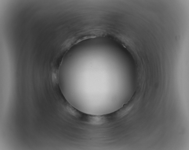 X0000113160432200909111018