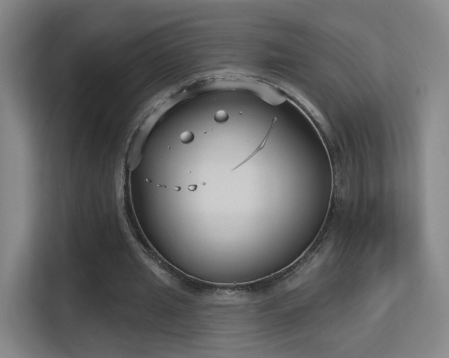 X0000113160437200909111017