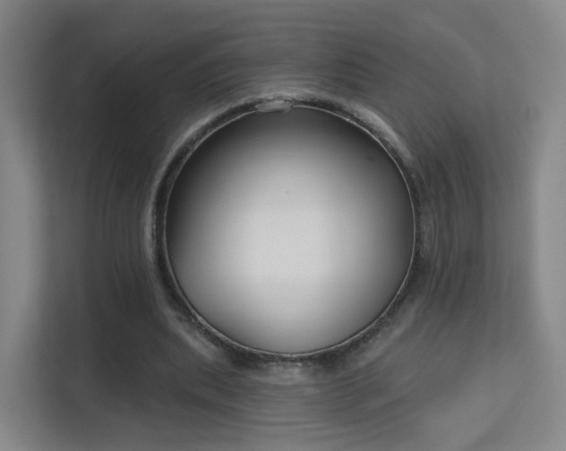 X0000113160439200909111017