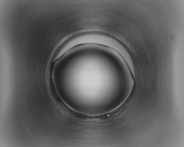 X0000113160440200909111017