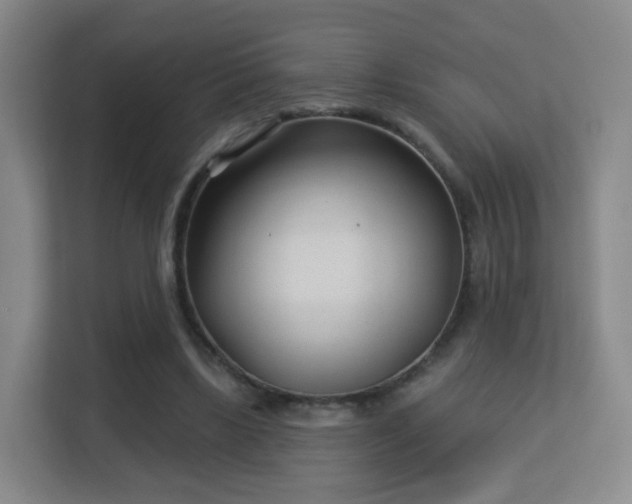 X0000113160443200909111018