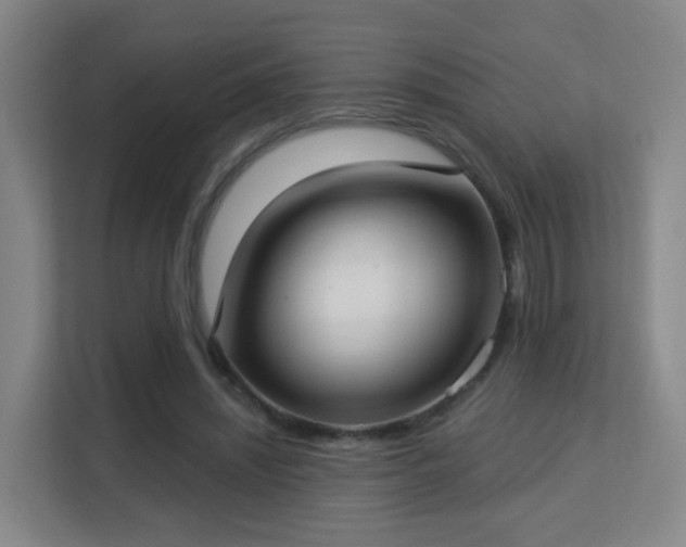 X0000113160444200909111018