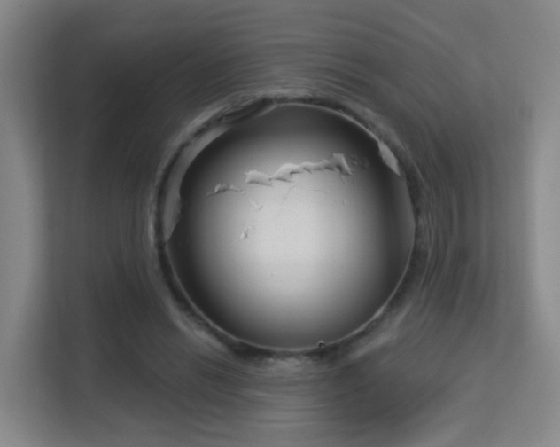 X0000113160446200909111018