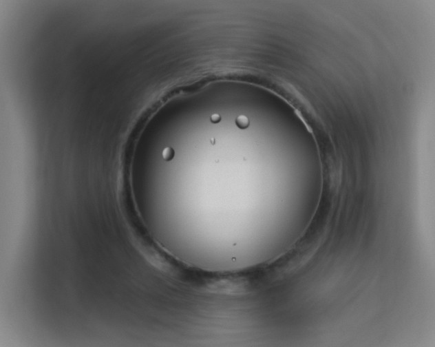 X0000113160447200909111018