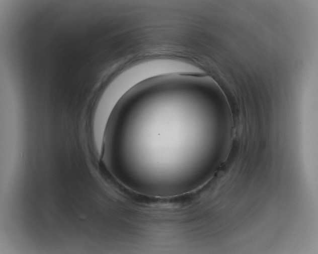 X0000113160448200909111018