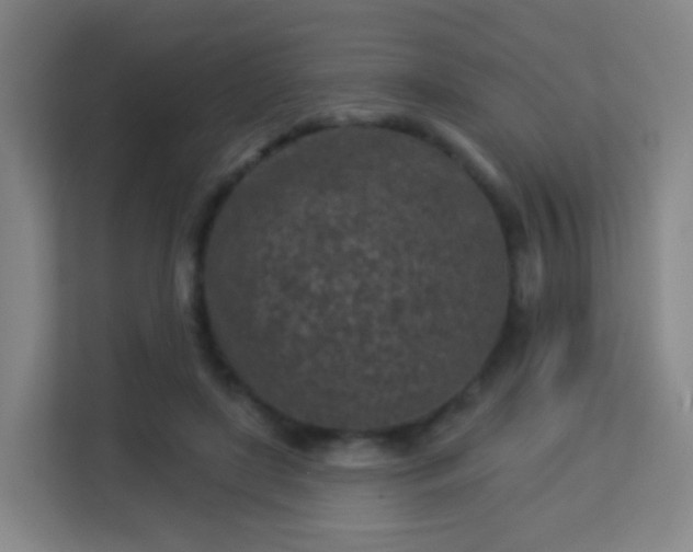 X0000113160451200909111018