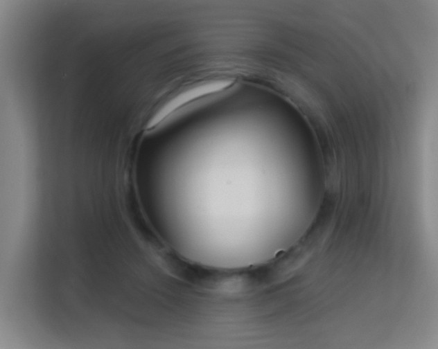 X0000113160456200909111018